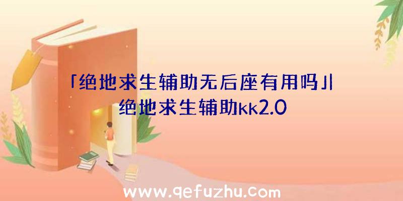 「绝地求生辅助无后座有用吗」|绝地求生辅助kk2.0